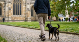 Salisbury Cathedral – Pet Service