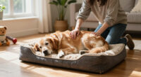 15 Best Natural Orthopedic Dog Beds for Supportive Rest in 2027