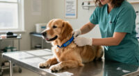 2026 Veterinary Practice News Readers' Choice Product Awards
