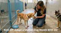 Kick Off Adopt A Shelter Dog Month With Us!